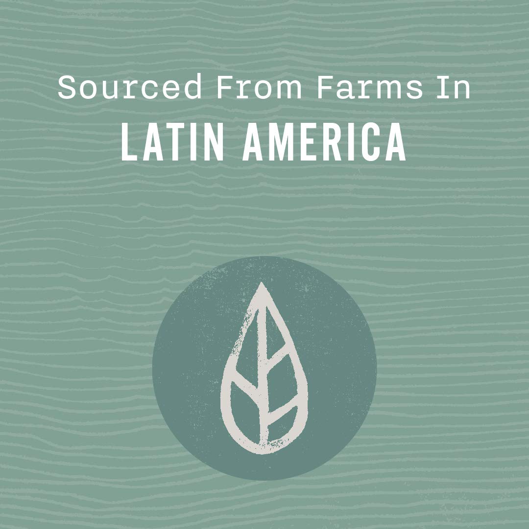 Allegro Coffee Decaf Organic French Roast Whole Bean Coffee, 12 Ounce (Pack Of 1)