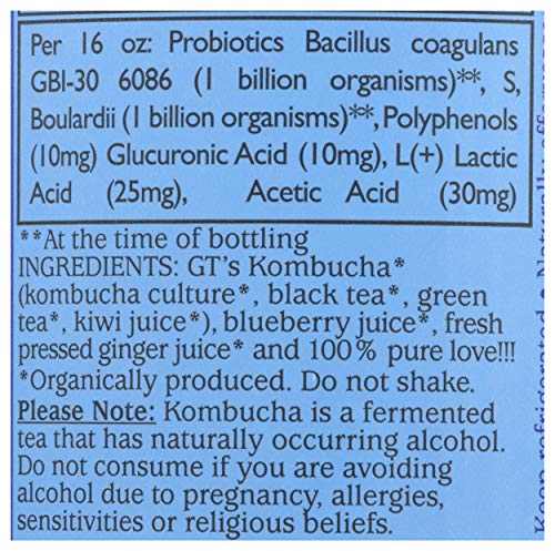 Synergy The Real Kombucha, Gingerberry - 48oz
