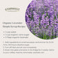 Starwest Botanicals Lavender Flowers Extra Organic Eco-Friendly 0.49 oz