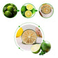 Dried Lime Slices 17.6oz/500g  Dehydrated Lime For Cocktails Cake Decoration Cocktail Decoration Table Flowers Candle Crafts  No Additives  No Sugar Added (17.6 oz)