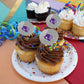 Abilene Christian Secondary Logo Cupcake Picks Toppers Decoration Set Of 6