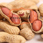 Meenakshi Spices - Organic & Purity Of Nature Roasted Groundnut With Shell | Bhuni Sabut Mungfali 1 Kg
