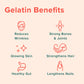 Further Food Premium Gelatin Powder, Unflavored, Grass-Fed, Non-GMO, 15.87 oz, Keto, Paleo