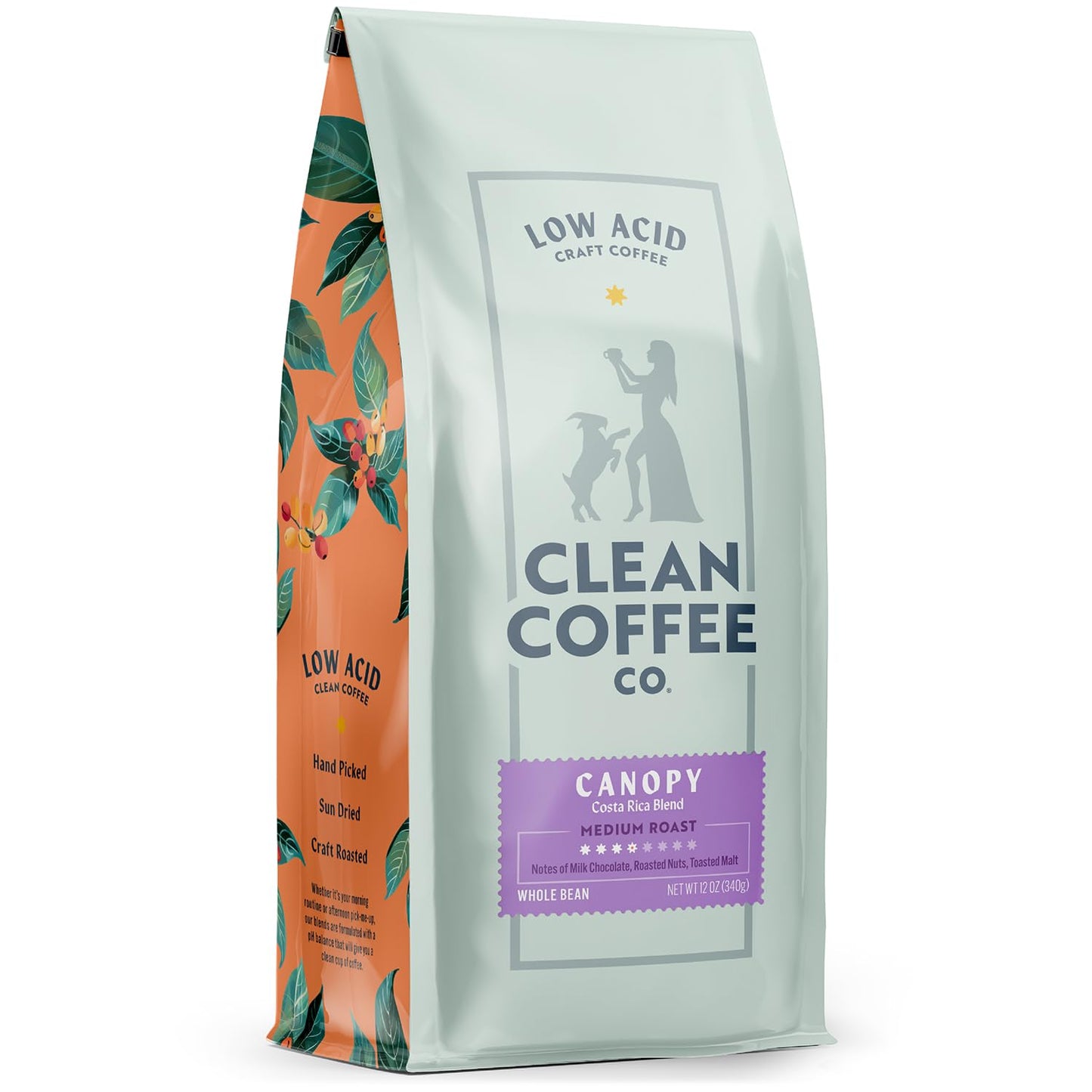 CLEAN COFFEE CO Low Acid Medium Roast Whole Bean Coffee, Costa Rica Blend, 12 oz Bag