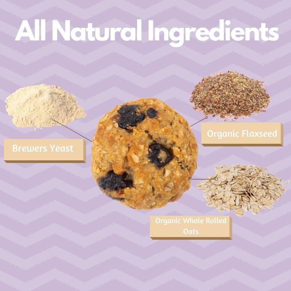 MilkBliss Wild Blueberry Soft Baked Oatmeal Lactation Cookies for Breastfeeding Support to increase Breastmilk Supply, 12 OZ