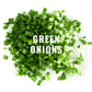 Freeze Dried Chopped Green Onions 4 Ounce, All Natural Non Gmo Gluten Free Dry Green Onions