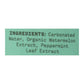 Aura Bora Herbal Sparkling Water Peppermint Watermelon, 12 Ounce