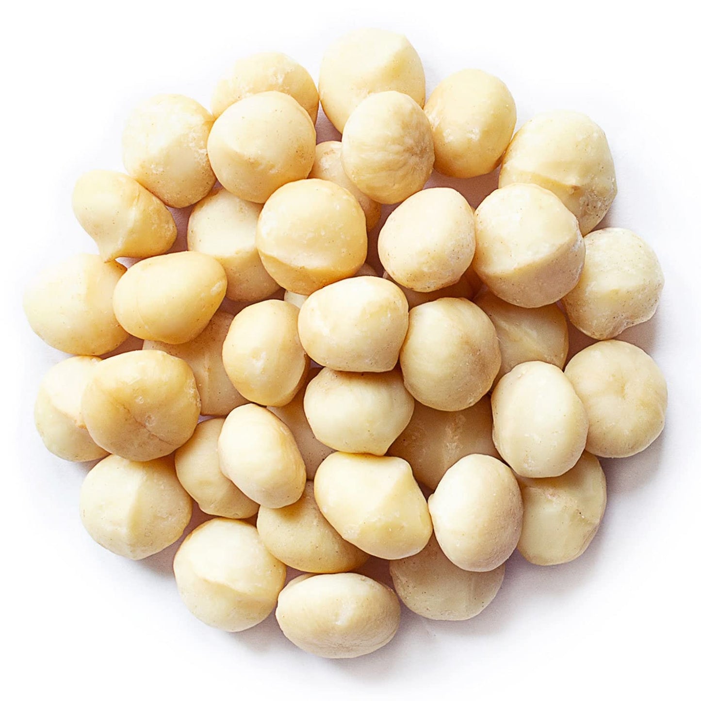 Food to Live Organic Whole Macadamia Nuts, 18 Pounds - Non-GMO, Raw, Shelled, Unsalted, Kosher, Vegan, Bulk. Keto Snack. Buttery