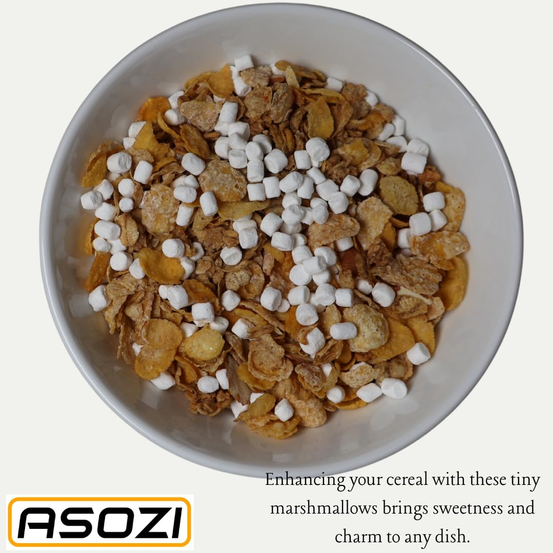 Mini Marshmallows For Hot Chocolate - Vanilla Flavored Dehydrated Marshmallow Bits 1Pound In Reusable Bag - Dried Marshmallows M