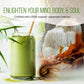 La Republica Lions Mane Mushroom Matcha Powder Grown with Full Fruiting Lions Mane Mushroom with No Fillers, USDA Organic, 60 Se