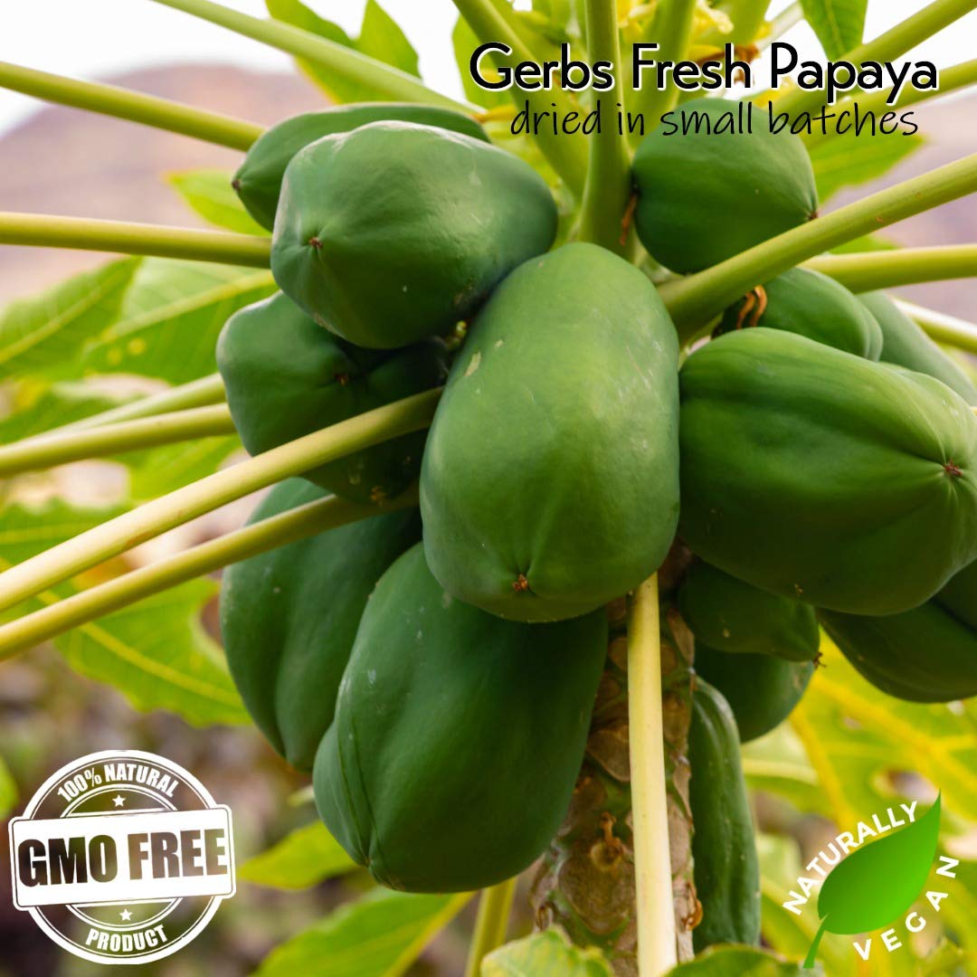 GERBS Dried Papaya Cubes - 2 LBS Bulk Bag, Gluten & Peanut Free, Sulfur Dioxide Free, Ivory Color