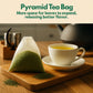 Tozzy Organic Yerba Mate Tea  Unsmoked - 100 Count  Plant-Based Pyramid Tea Bags