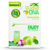 Guavadna Guava Leaf Tea 20 Individually Wrapped Teabags By Matcha Dna | 100% Pure Guava Leaves, Nothing Else Added (20 Teabags)