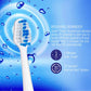Pursonic S520 Rechargeable Sonic Toothbrush- Includes 20 Accessories: 12 Brush Heads & More, Black
