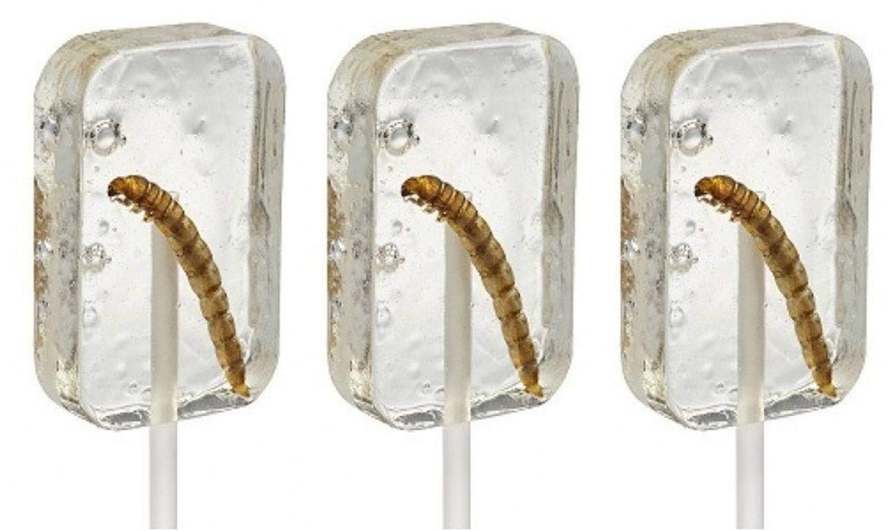 Hotlix Insect Candy Tequila Worm Sucker Pack of 3 Count, Unique Edible Treat
