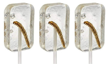 Hotlix Insect Candy Tequila Worm Sucker Pack of 3 Count, Unique Edible Treat