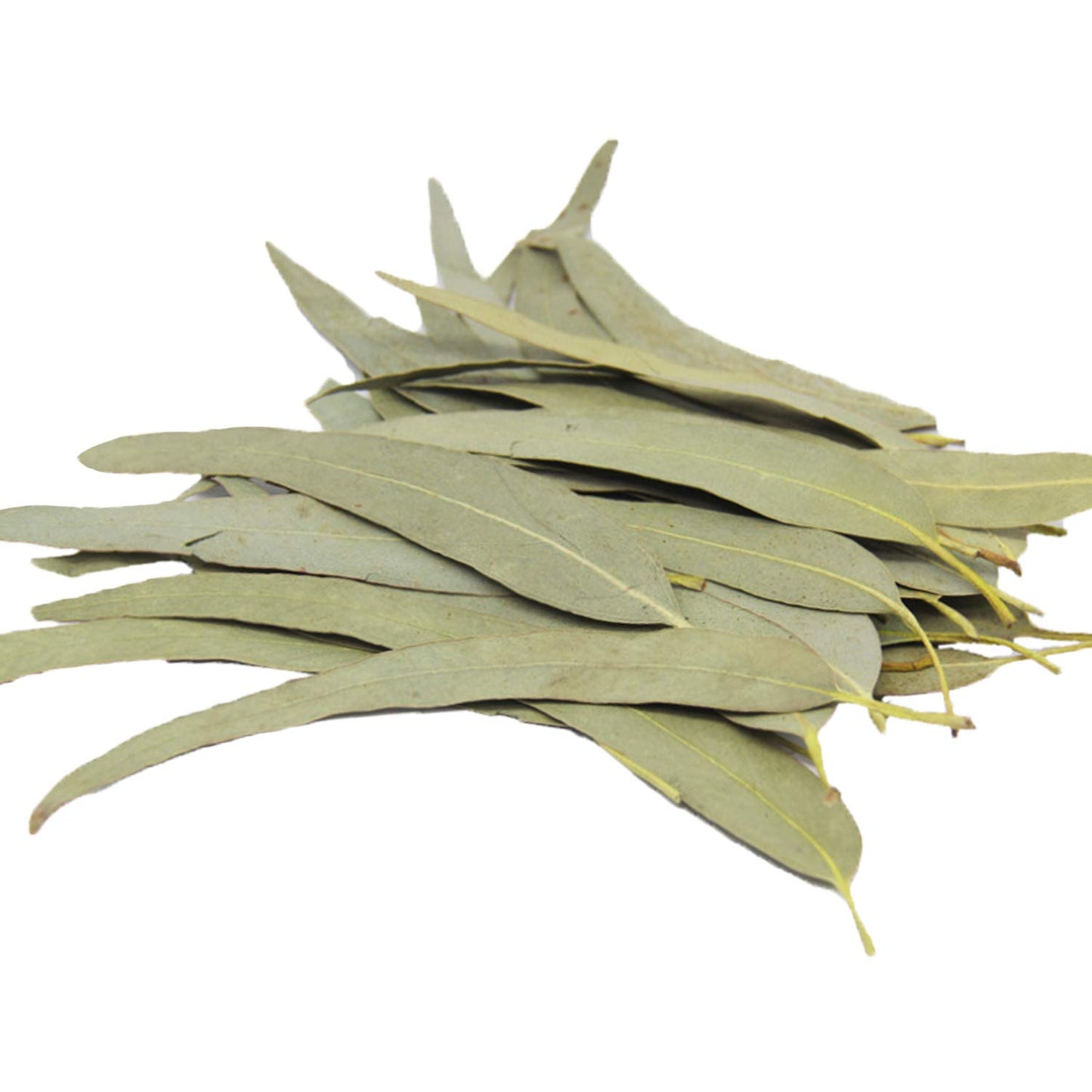 Whole Eucalyptus Leaves, Natural Eucalyptus Herb Leaves, 114G (4.0 Oz)
