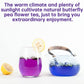 TeeLux Butterfly Pea Flower Tea, Non-GMO, Premium Dried Flowers, 1.76 Oz