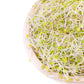 Food To Live Organic Salad Mix Of Sprouting Seeds, 1 Pound - Non-Gmo Broccoli, Radish, Clover, Alfalfa. Rich Germination Rate, N