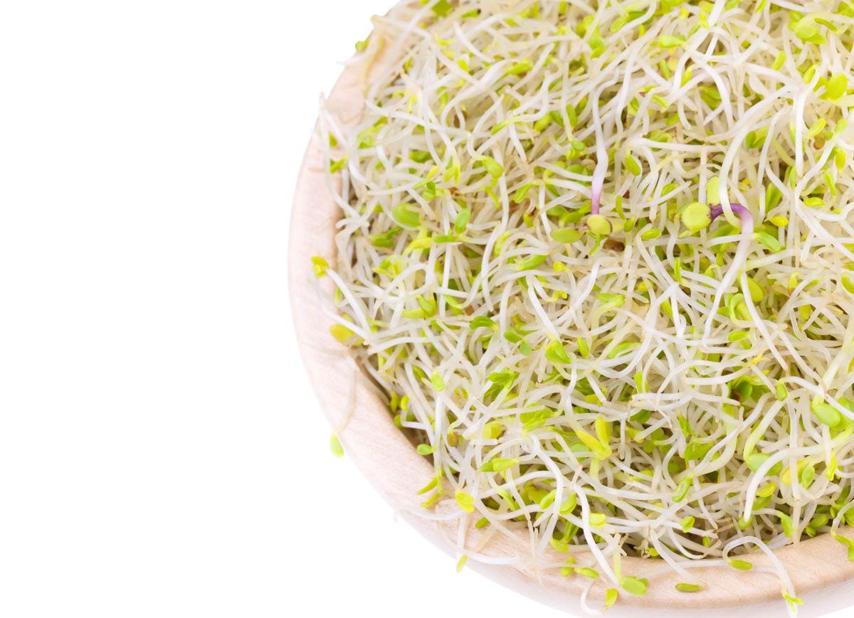 Food To Live Organic Salad Mix Of Sprouting Seeds, 1 Pound - Non-Gmo Broccoli, Radish, Clover, Alfalfa. Rich Germination Rate, N
