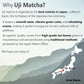 Wako Matcha  First Harvest enhanced Uji Ceremonial Grade Matcha Powder  For Cafe-Quality Hot/Iced Matcha and Latte  Pure Matcha Green Tea for your Daily Morning Boost  Authentic Japanese  Unsweetened  Gluten-Free  1.4 oz (40g)