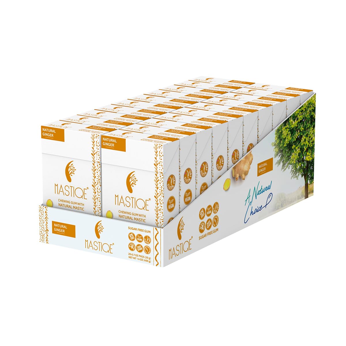 Mastiqe Sugar Free Hard Chewing Gum With Natural Mastic (Ginger, 20 Count)