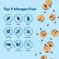 Gluten Free Partake Crunchy Chocolate Chip Cookies - Vegan - Free From the Top 9 Allergens Including Dairy, Wheat, Soy, Eggs, &