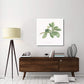 Sweet Marjoram -Paper Art-38''X38''