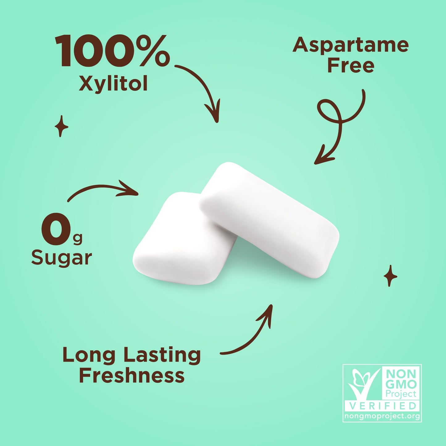 Pur Gum | Aspartame Free Chewing Gum | 100% Xylitol | Natural Chocolate Mint Flavored Gum, 55 Pieces (Pack Of 12)