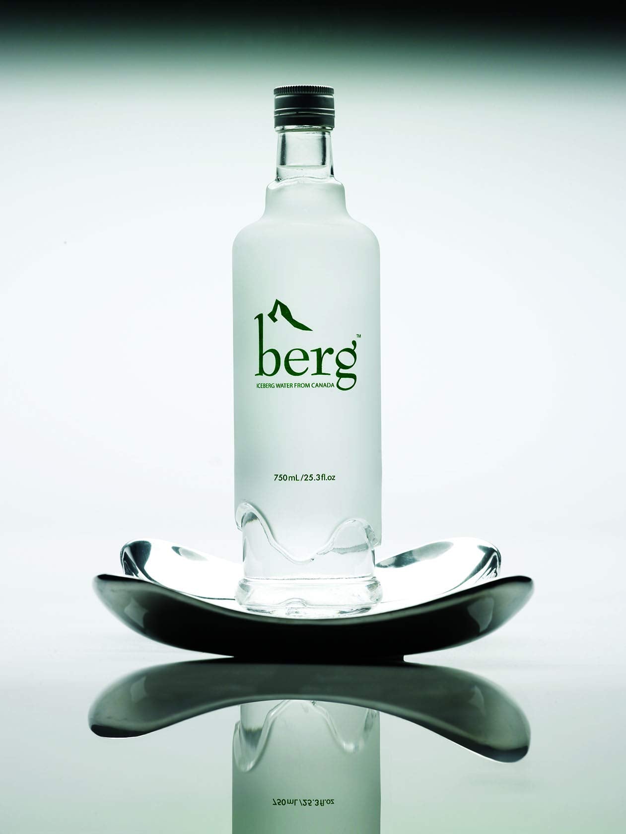 Berg Water Sourced From Icebergs 25.36Oz (One 750Ml Glass Bottle)