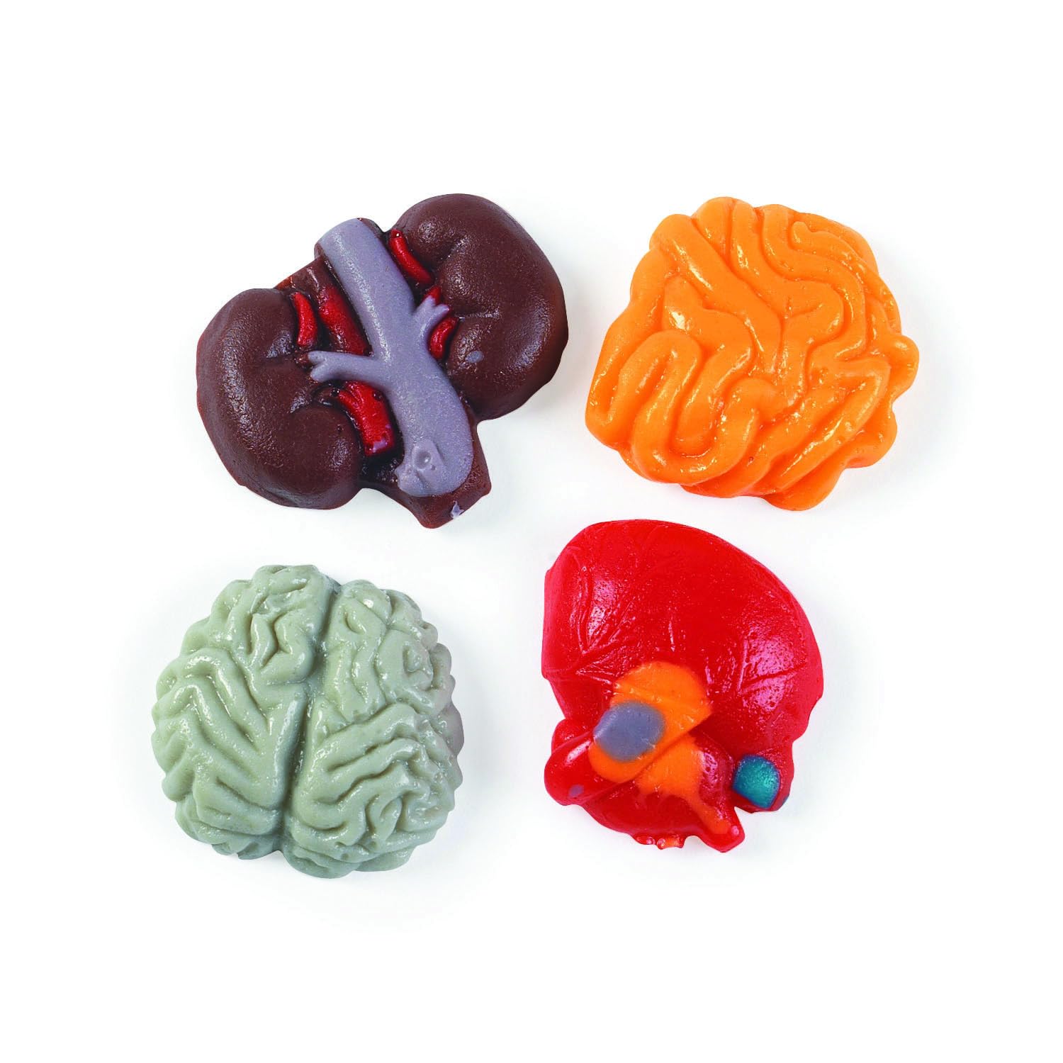 Halloween Organ Harvest Gummy Candy, 1 Lb Package, Brains And Guts Gummies, Great For Halloween Parties, Trick Or Treat Bags And