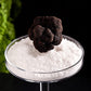 La Rustichella - Black Truffle Pat 3.17 oz (90 gr) - 100% Made in Italy | Vegan, Gluten-Free, Cholesterol-Free
