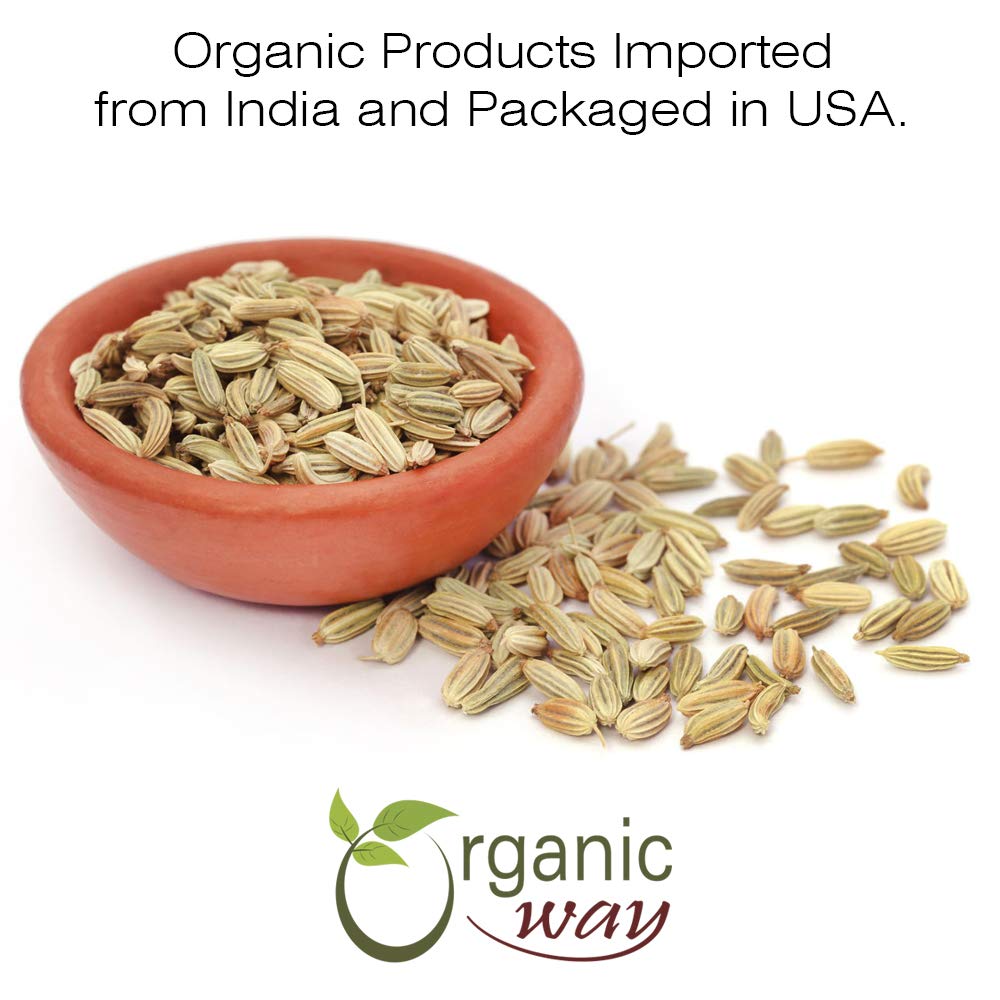 Organic Way Fennel Seed Whole - Raw, Vegan, Non-GMO, Gluten Free - 1/2 Pound - USDA Certified - Origin: India