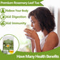 ULTHMOK Premium Rosemary Tea Bags - 100% Pure Natural Rosemary, Caffeine Free, 100 Count