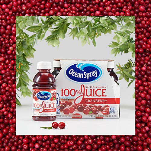 Ocean Spray 100% Juice Cranberry Juice Blend, 10 Fl Oz, 6 Count (Pack of 1)