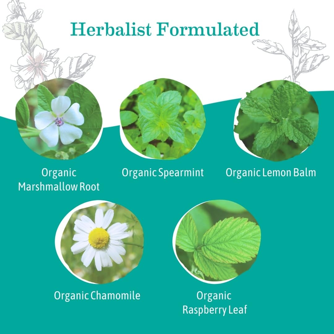 Earth Mama Organic Heartburn Tea Bags, 16 Count (Pack of 2)