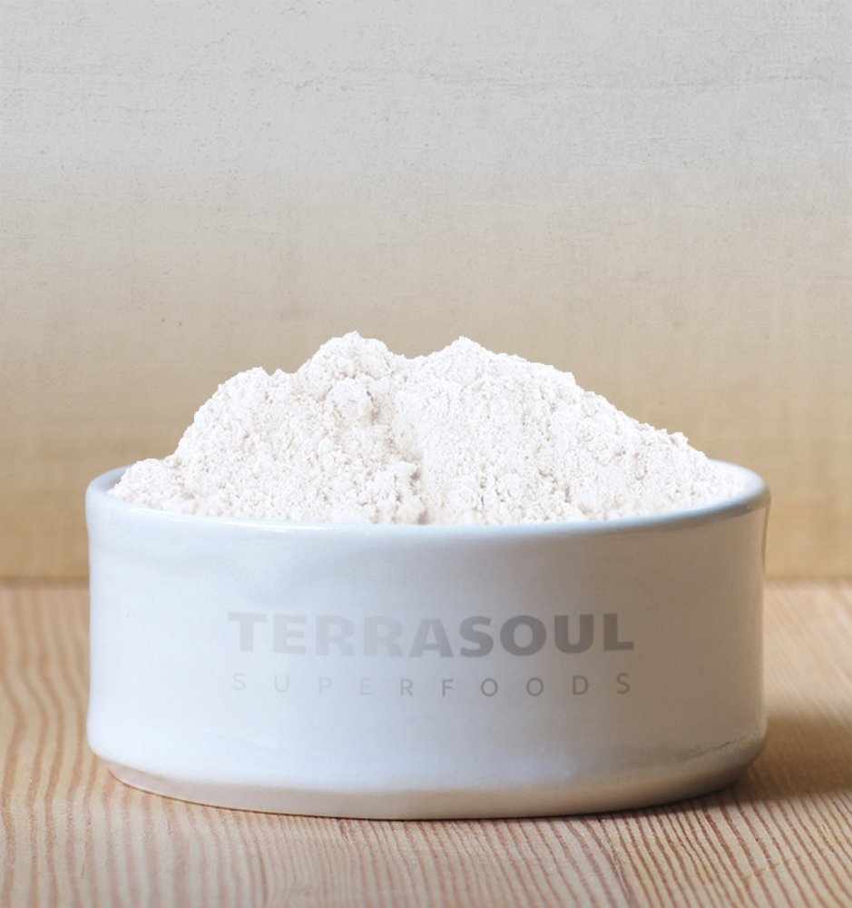 Terrasoul Superfoods Organic Coconut Milk Powder, 2 Lbs (2 Pack) - Plant-Based Creamer | Keto Friendly