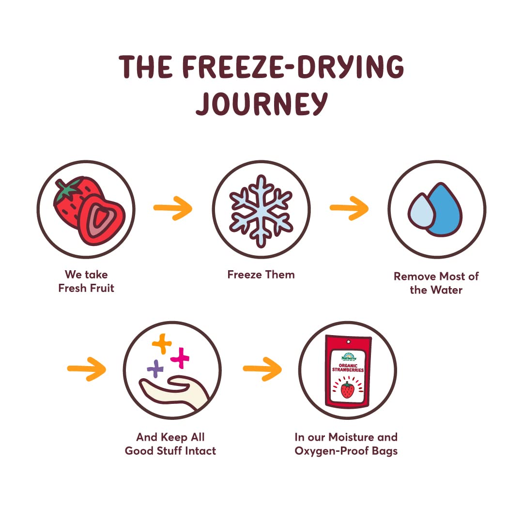 Natierra Organic Freeze-Dried Blueberries | Non-GMO & Vegan | 1.2 Ounce | Natural Color