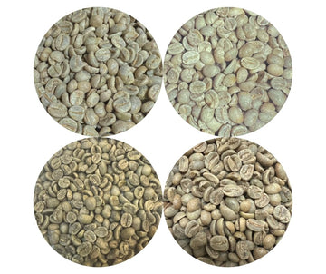 Roastika - Bundle 1 - Unroasted Coffee Bean - 4Lb (Pack Of 4) - Sampler Pack - (Brazil Cerrado/Colombia Supremo/Costa Rica/Mexic