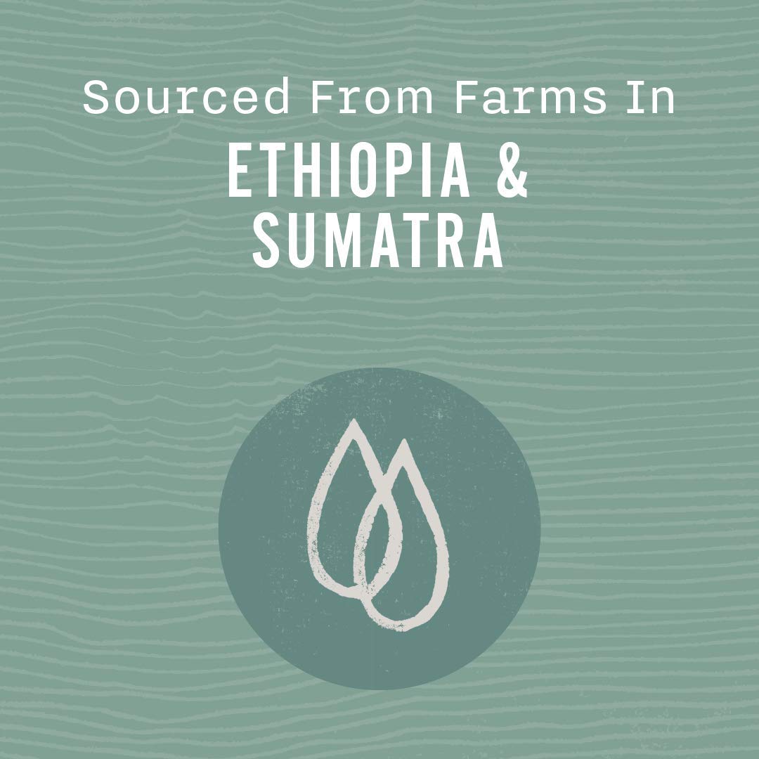 Allegro Coffee Mocha Java Whole Bean Coffee, 12 Oz