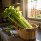 Organic Celery Bunch