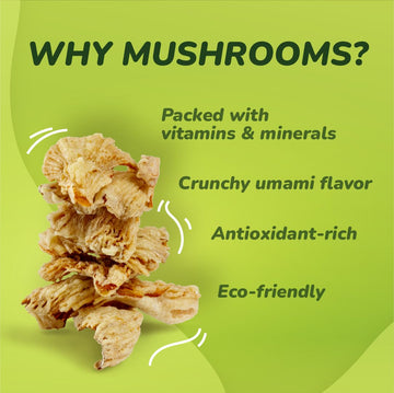 EVIL SNACKS Crunchy Mushroom Chips - SHROOM ORIGINAL Flavor - Organic, Non-GMO, Plant-Based, Vegan - Nutrient-Packed, On-the-Go