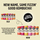 Liquid Remedy Kombucha Sugar Free Organic Drink, Low Calorie, Probiotic Like Tea For Gut Health - Super Sampler Variety Pack - 8