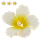 Global Sugar Art Hibiscus Sugar Cake Flowers, White with Yellow, Large 3 Count