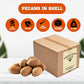 Presto Sales Llc Pecans, Flavorful In Shell, New Crop Unshelled Fresh, Easy To  , Healthy Snack, Dietetic, Vegan, And Calcium | Perfect For Vegans, Weight Control Diets | 10 Lbs. (160 Oz.)