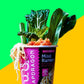 Snapdragon Miso Ramen Cup Noodles - 6 Pack Instant Ramen Bowl with Authentic Wheat Noodles, Soup Sauce Base, Vege Pack and Flavo