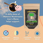 Lion'S Mane Hot Cacao Mix By Malama, Organic Fruiting Body Lion'S Mane Mushroom Extract Blended With Fair Trade Cacao And Cinnam