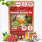 TOG999 Natural Tea Bags for Menstrual Cycle Support, 40 Bags, 100% Pure Red Raspberry Leaves, Spearmint Flavor, Vegan
