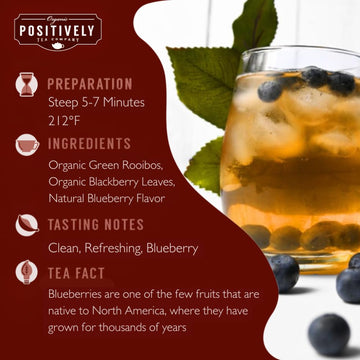 Organic Positively Tea Company Blueberry Bliss Rooibos Tea Loose Leaf 16 Ounces