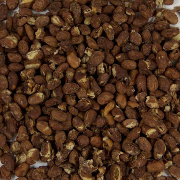 Harmony House Foods TRUE Dehydrated Pinto Beans - Easy Cook (16 oz, Quart Size Jar)